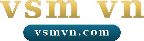 vsm vn logo